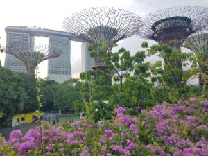 Read more about the article Qué comer en Singapur: 9 platos típicos que no te puedes perder.