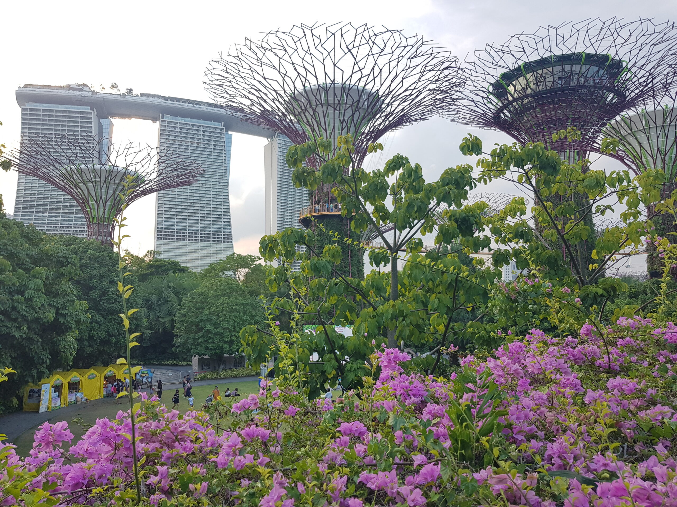 Read more about the article Qué comer en Singapur: 9 platos típicos que no te puedes perder.