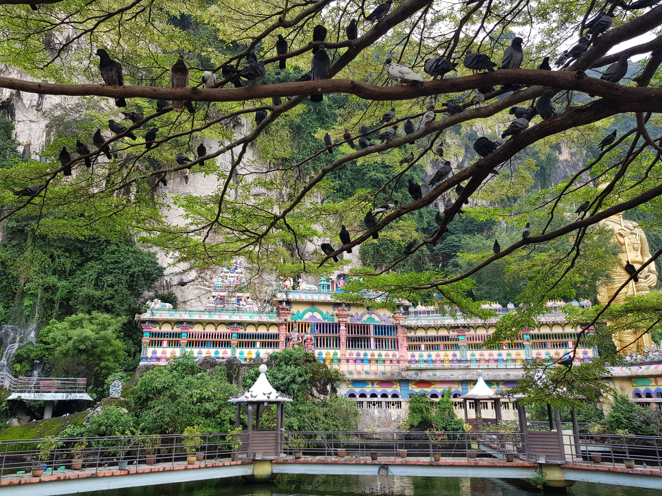 You are currently viewing Qué ver en Batu Caves: la joya dorada de Malasia que no te puedes perder.