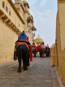 Lee más sobre el artículo Los 18 mejores lugares que ver en Jaipur (India) – Guía completa y consejos de viaje.