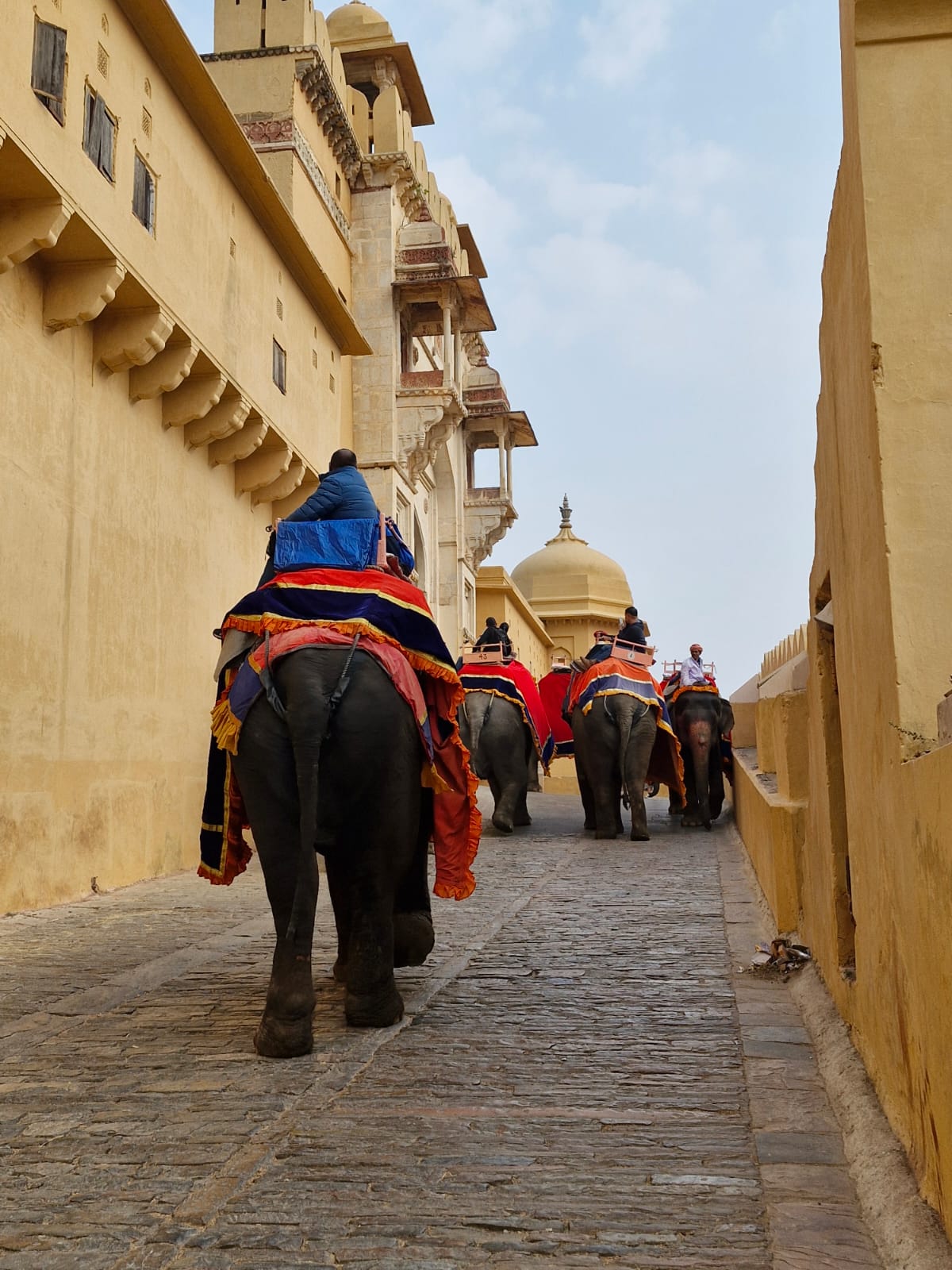 Lee más sobre el artículo Los 18 mejores lugares que ver en Jaipur (India) – Guía completa y consejos de viaje.