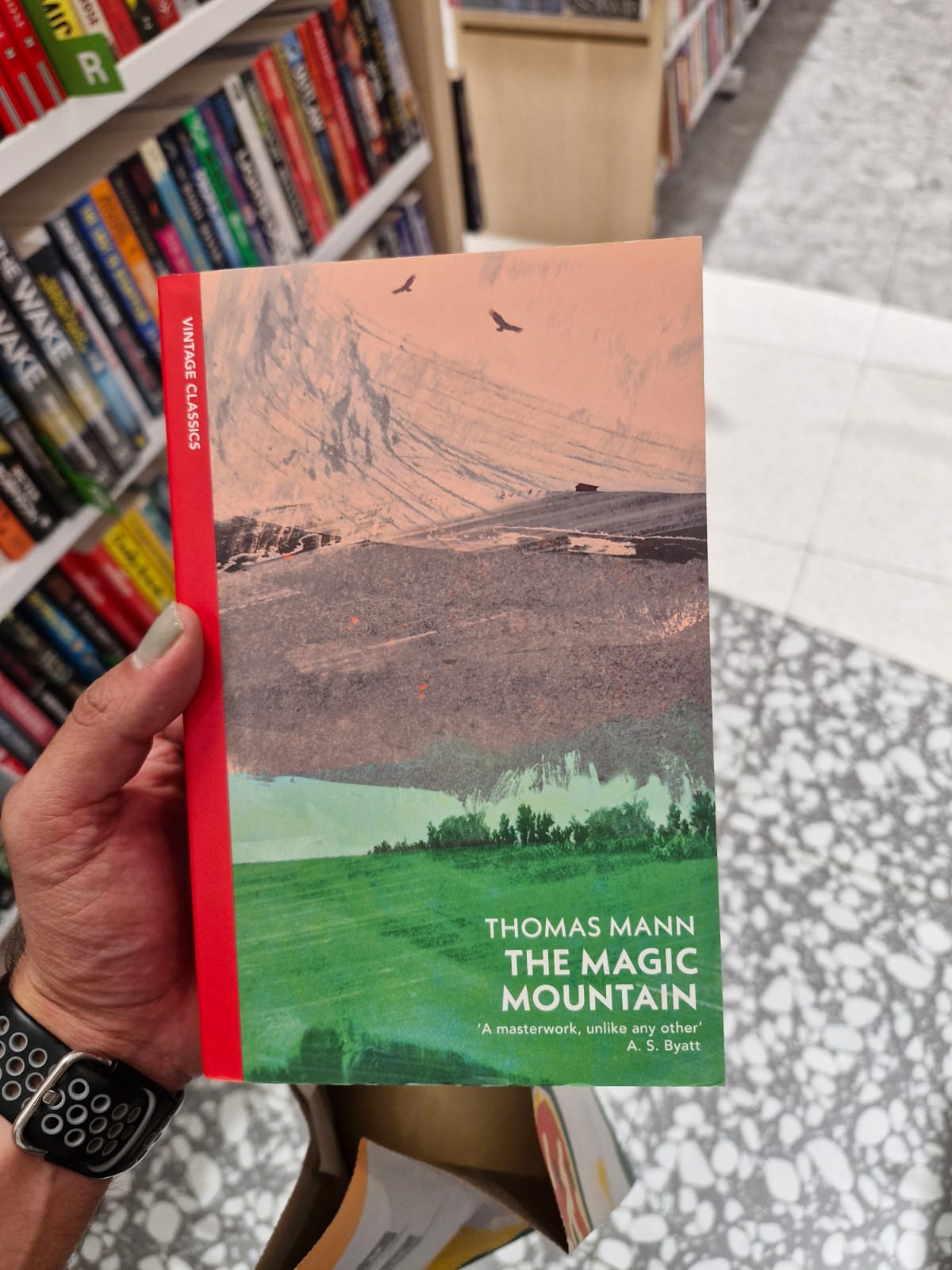 En este momento estás viendo La montaña mágica de Thomas Mann: significado, temas, análisis y por qué leer esta obra maestra del siglo XX.